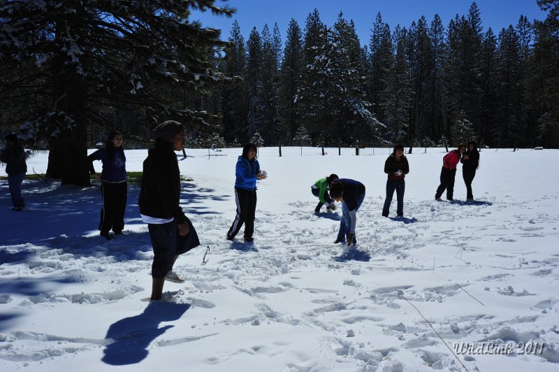 _RJH9877.JPG - Snowball "fight".