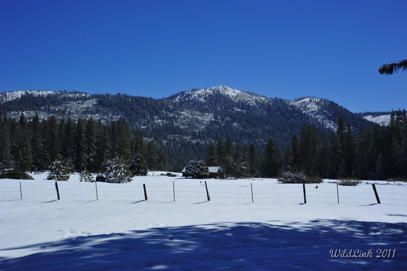 _RJH9880.JPG - One of these days I'll buy this property :-).