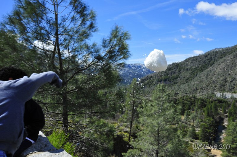 _RJH9892.JPG - Israel has a lust for trashing snowballs.