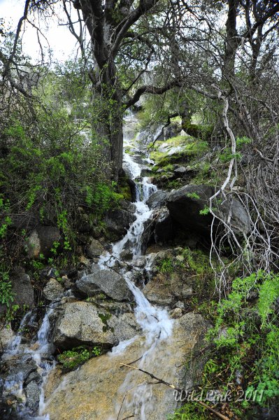 _RJH9936.JPG - Water everywhere!