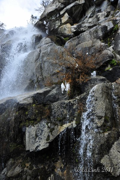 _RJH9943.JPG - Here's a better perspective of how the ice blobs got there during the cold night.