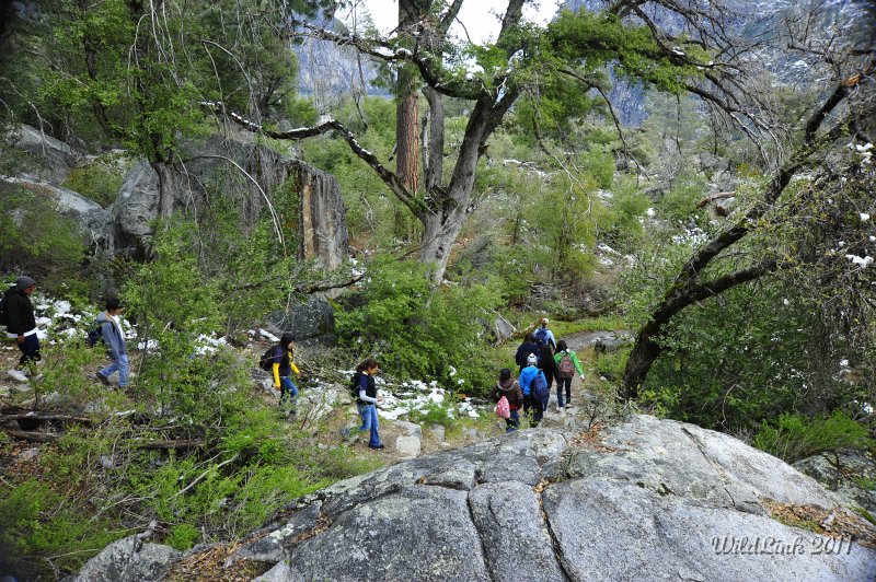 _RJH9967.JPG - Zigging towards our destination.