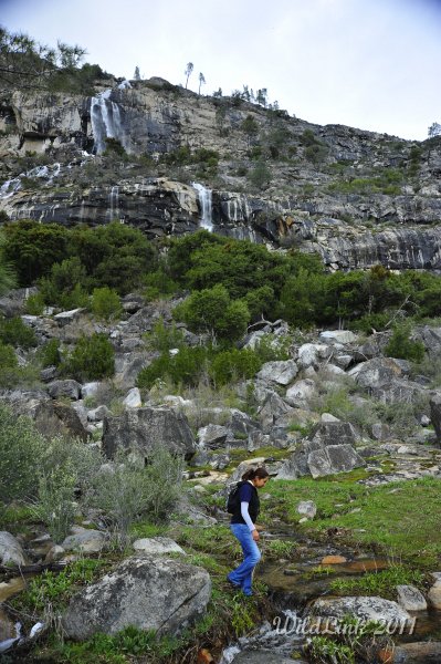 _RJH9983.JPG - Here was our safest crossing point.