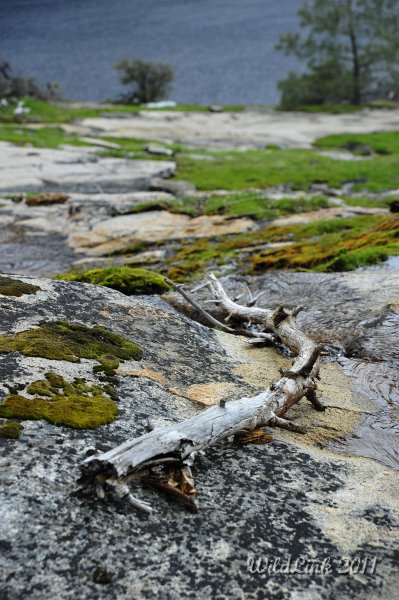 _RJH9996.JPG - Stick with the trail.