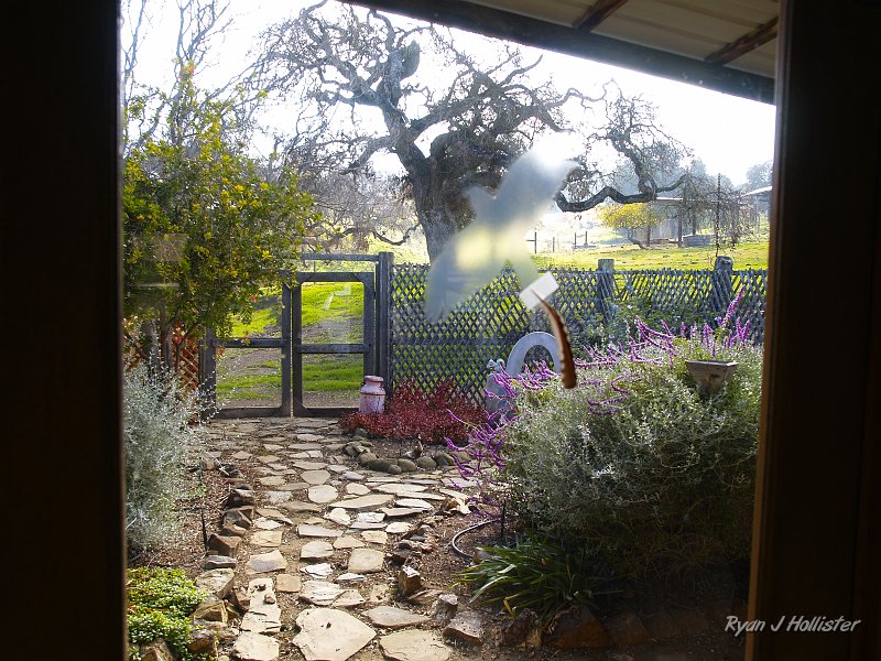 pacheco_120509_1070.JPG - The courtyard view with "scary" predators etched into the glass to prevent small birds from flying into the windows.