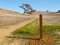 pacheco_120509_1048