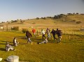pacheco_120509_1097