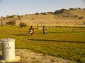 pacheco_120509_1115