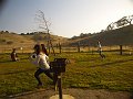 pacheco_120509_1122