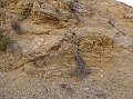 pacheco_120509_1148