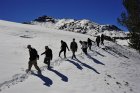 Sonora Pass Snow