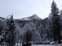 IMG 4073