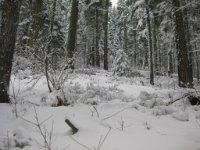 IMG 0088