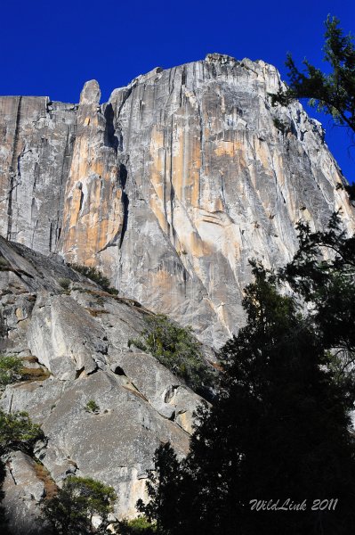 RJH_7689.JPG