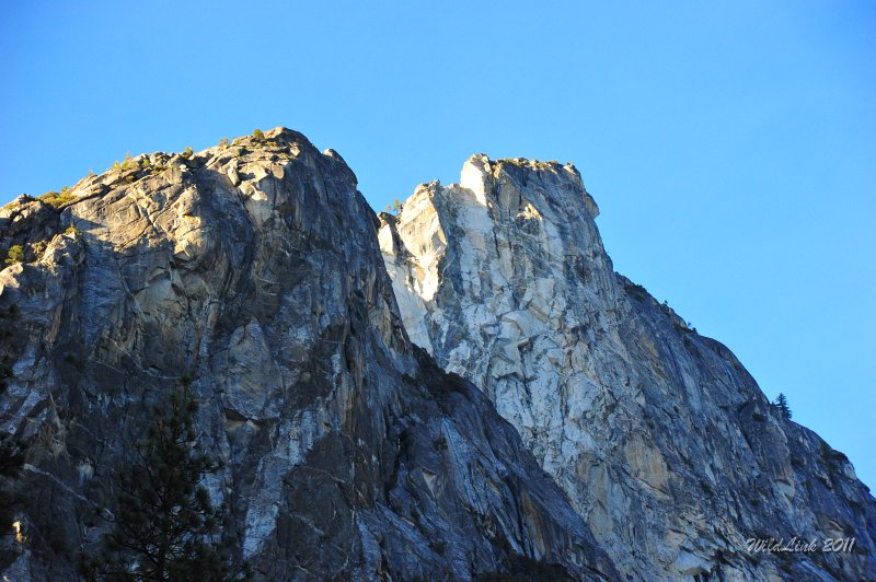 RJH_7709.JPG