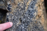 A really great hand sample of the Table Mountain latite.  Notice the large crystals of plagioclase. : Geology Trip, Jamestown, MJC Geology, latite, southern motherlode, table mountain, vernal pool