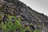 Hard to tell, but there was a cool little trickle of water trying to be a waterfall. : Geology Trip, Jamestown, MJC Geology, latite, southern motherlode, table mountain, vernal pool
