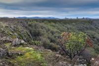 RJH 0608 : Geology Trip, Jamestown, MJC Geology, latite, southern motherlode, table mountain, vernal pool