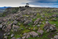 Easter edge of Table Mountain. : Geology Trip, Jamestown, MJC Geology, latite, southern motherlode, table mountain, vernal pool