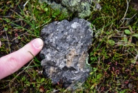 RJH 0679 : Geology Trip, Jamestown, MJC Geology, latite, southern motherlode, table mountain, vernal pool