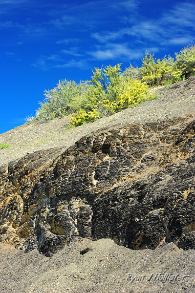 RJH_2545.JPG - Here's the oil shale the next morning after it had dried out from the previous day's rain.