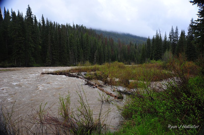 RJH_2644.JPG - The Grey's River, near flood stage.