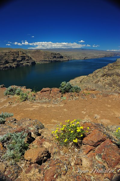 RJH_2881.JPG - The Columbia cuts through some amazing flood basalts here.