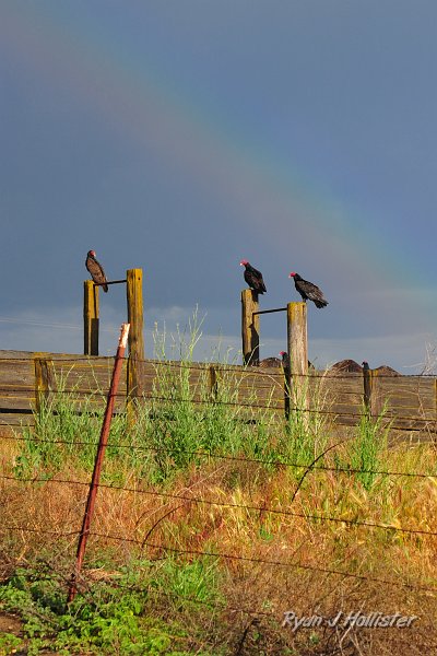 RJH_2231.JPG