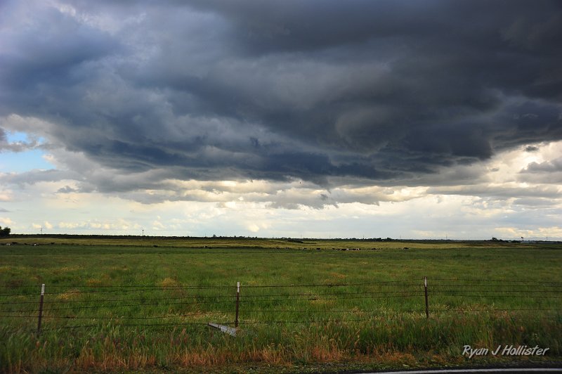 RJH_2264.JPG