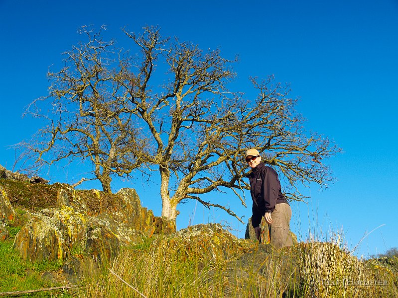 _1316478.JPG - Laura enjoys the tombstone rocks and the oaks.