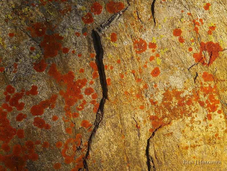 _1316495.JPG - Lichen, along with foliation planes of the tombstone rocks.
