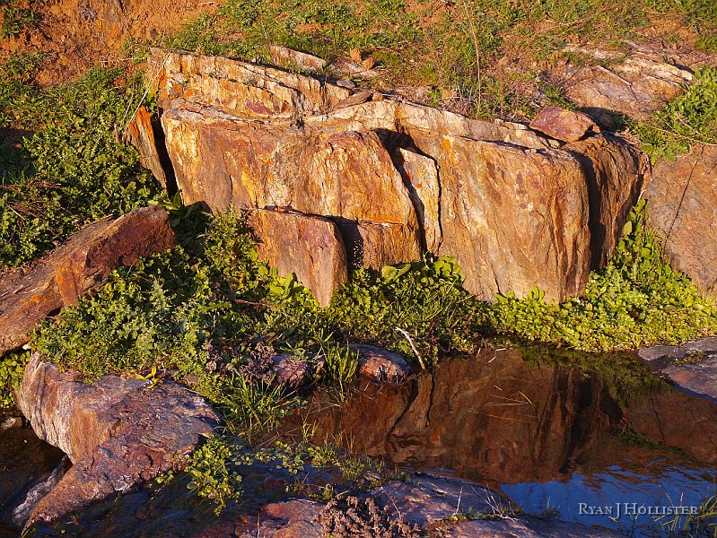 _1316538.JPG - There were just pool after pool of interesting photo-ops.  I, unfortunately, had left my tripod at home.