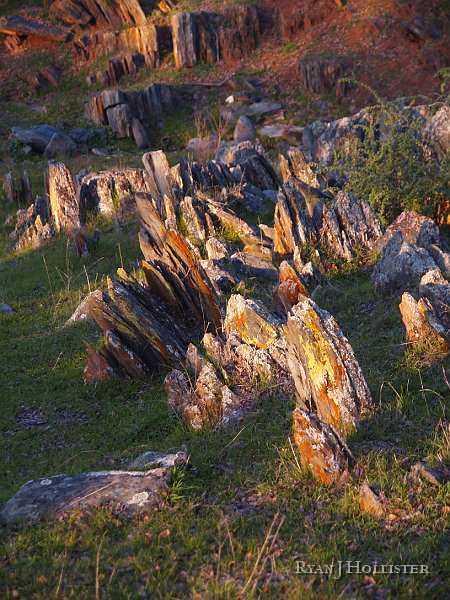 _1316553.JPG - A really great example of the layers of meta-sedimentary rocks that have been fored upawards.