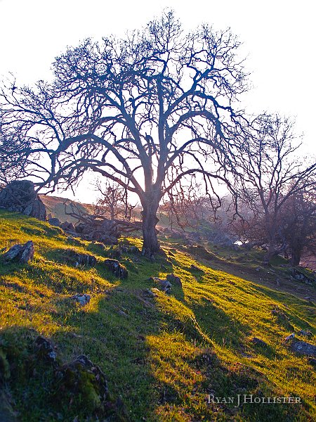 _1316563.JPG - I really wish I had my ND grad. filter and a tripod, but this photo still came out OK.
