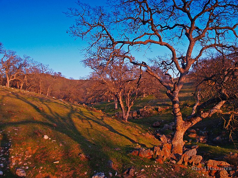 _1316569.JPG - Liked the shadows on this one.