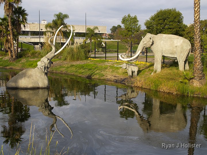 _C075773.JPG - Once has to image scenes like this played out quite often back during the last ice age.