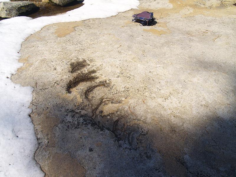 _4051538.JPG - Glacial chatter marks