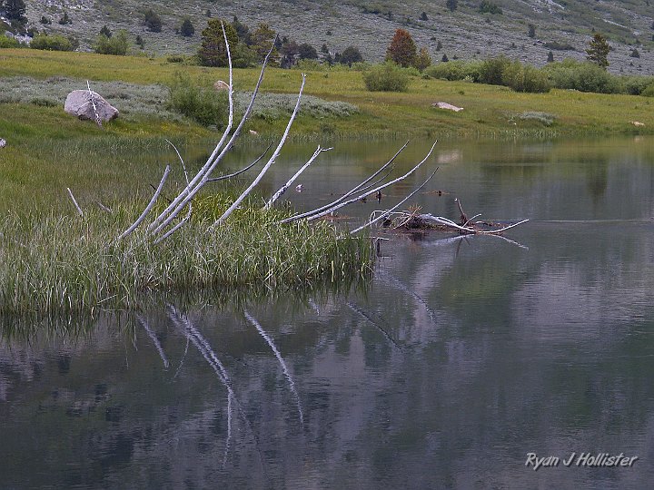 _6300019.JPG - Here's a closer view.