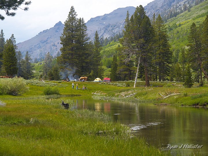_6300022.JPG - The gals wait on a dry spot, warming up in the sun after a brief shower chilled them.   The horse camp in the background is too close to the creek to be legal in the Emigrant Wilderness, but I didn't say anything.