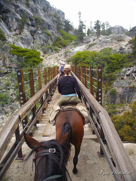 _6309977.JPG - Here's the biggest footbridge.  You'll get a better view of it and the canyon it spans on the way down.