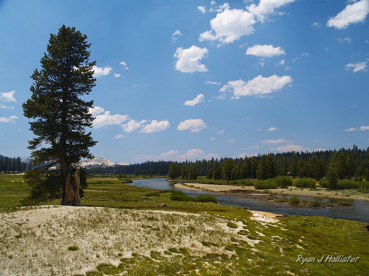 _7010069.JPG - It was also much cooler up here than in the valley.   Also much less crowded.