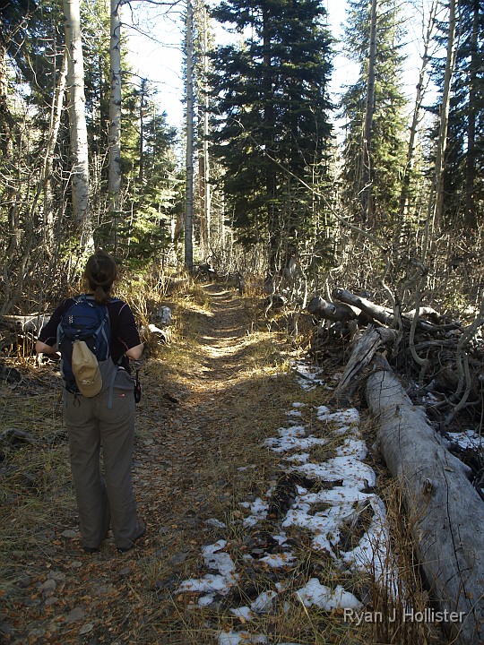_B155633.JPG - There was just a hint of snow left on the trail at this high elevation.  By this point, it was already 60+ degrees which is unheard of in the High Sierras in November.