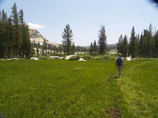 _7074068.JPG - Walking through Lake Meadow was a little mushy, but beautiful.