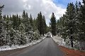 RJH_2384