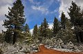 RJH_2385