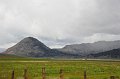 RJH_2394