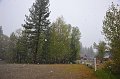RJH_2395