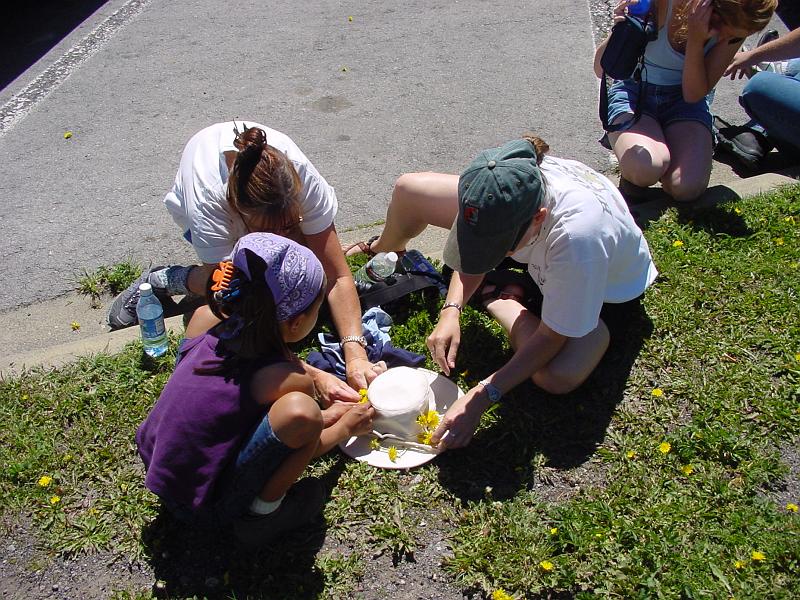 DSC00429.JPG - The gals work on decorating my hat with illegally picked dandelions.