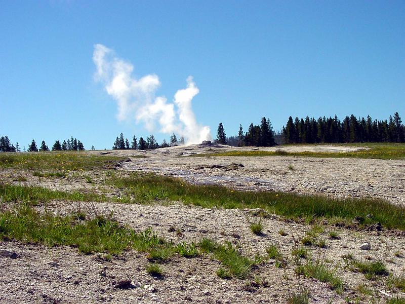 DSC00511.JPG - There's Old Faithful, viewed far from the crowds.