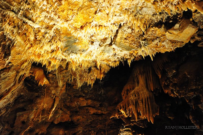 RJH_6130.JPG - Cave ceilings are amazing.